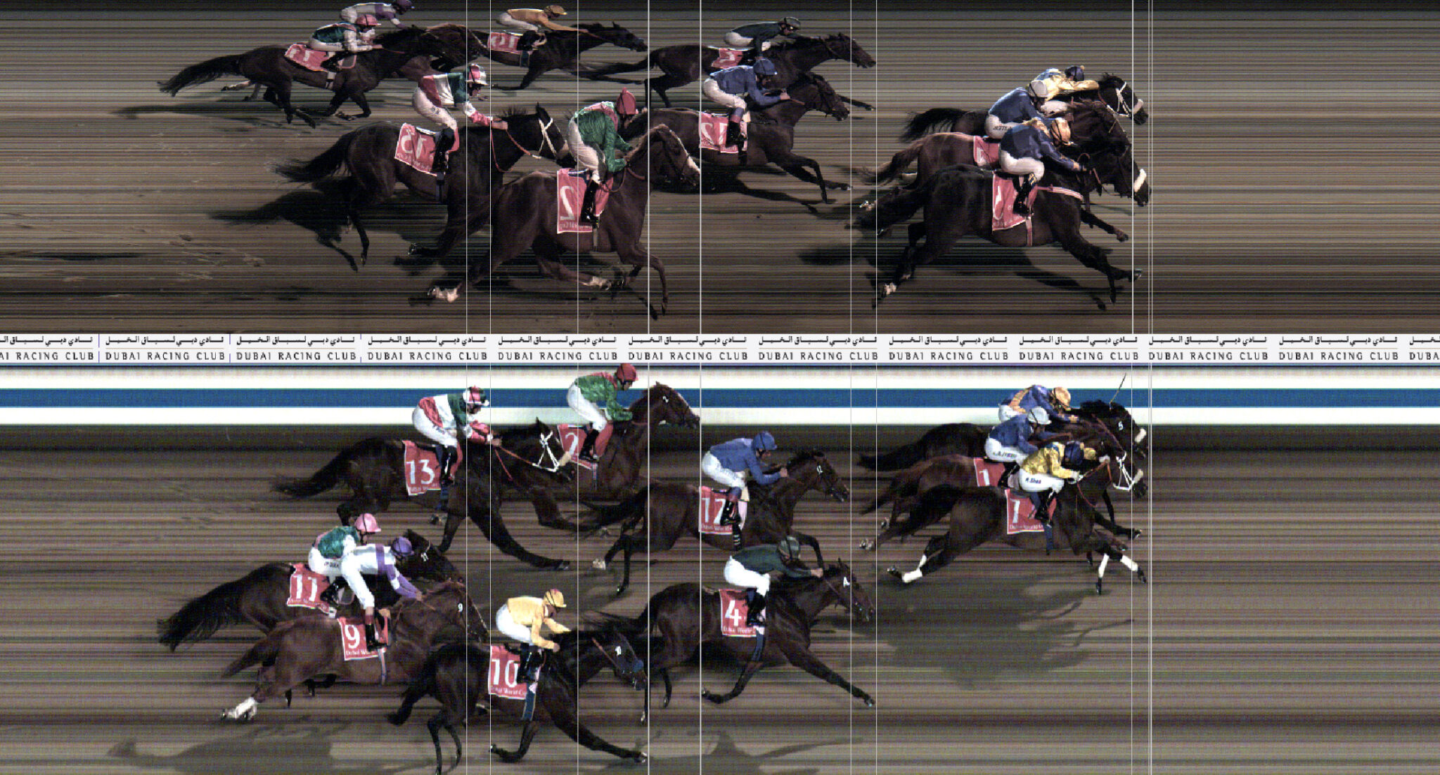 Fotofinish Timing für Pferderennen Windhunde und Pari Mutuel