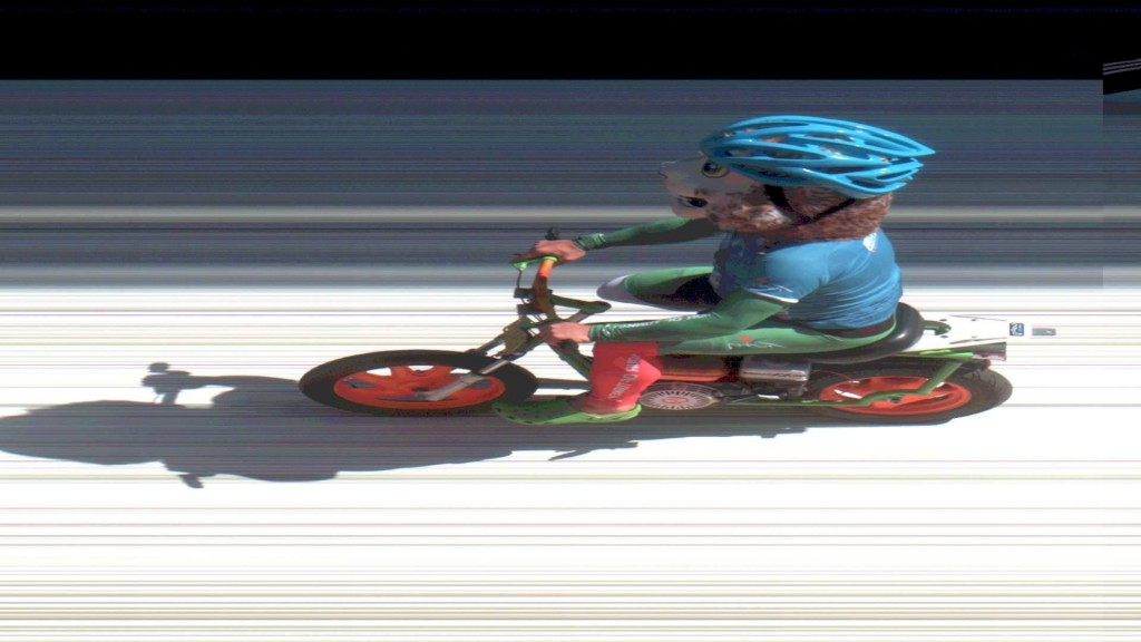 Μασκότ photo finish Προεδρικό Γύρος της Τουρκίας