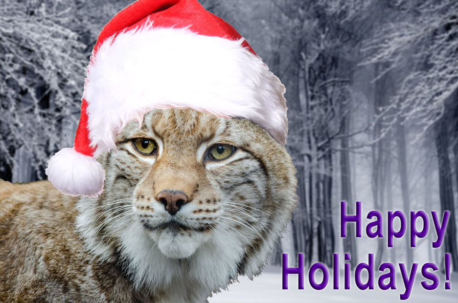 Lynx Holiday Image